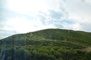 绿意盎然的青山景色