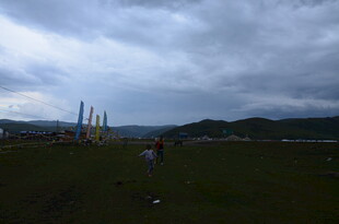 阴天草地旁的高耸建筑