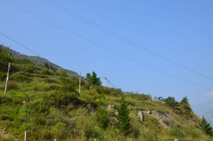 青山绿树间的电力设施