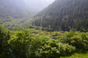山间绿意盎然的自然景致
