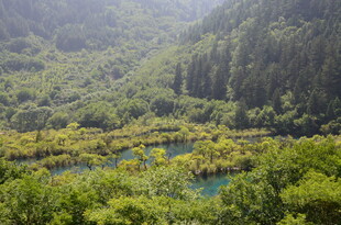 山林间的翠绿湖泊景观