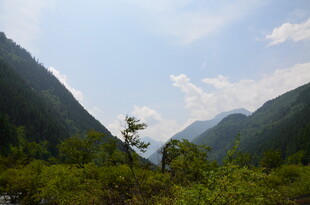 山间绿意盎然的秀丽景致