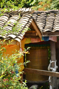 古朴小屋隐于绿植间