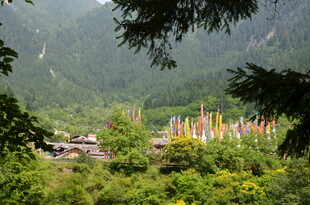 山林间的多彩建筑景观