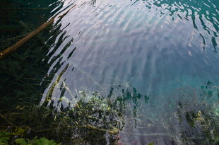 清澈水底的自然景象