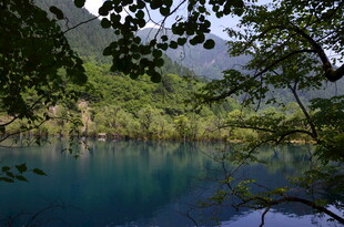 幽蓝湖水映山林美景