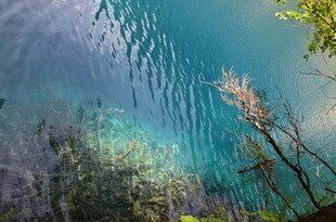 清澈湖水下的自然景致