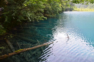 清澈幽蓝的林间水域