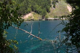 山间幽蓝湖水与繁茂林木