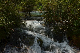 山间溪流潺潺流淌