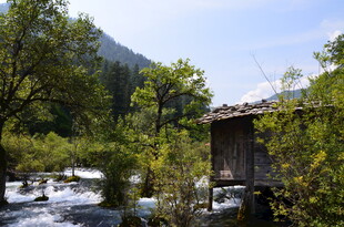 山林中的古朴小屋