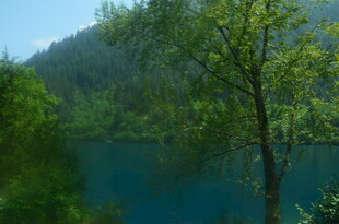 山间蓝湖旁的葱郁树木