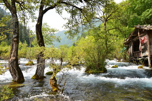 山间溪流旁的古朴景致