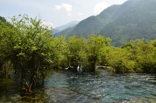 青山绿水间的秀丽河岸风光