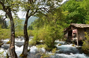 溪边小屋 静享自然野趣