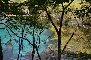 森林中的幽蓝澄澈湖水
