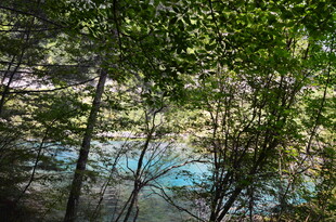 林间幽蓝湖水绿意盎然