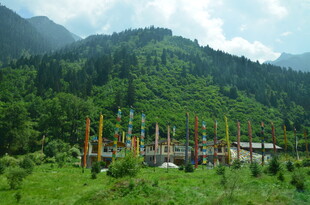 山间林立的多彩柱状物景观