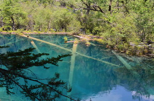 清澈幽蓝的森林中的湖泊