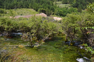 山间绿野溪流自然美景