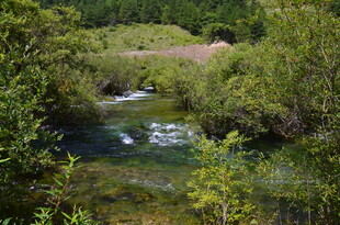 山间溪流 绿意环绕的美景