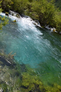 清澈溪流穿行于葱郁山林