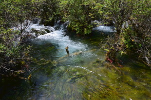 山间清澈溪流 绿意环绕