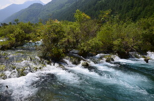 山间湍急溪流与葱郁植被