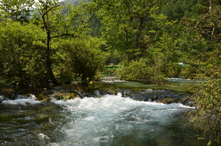 山间溪流 绿意盎然之景