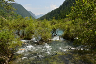 山间溪流绿意盎然