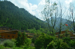 山间村落 绿意环绕的景致