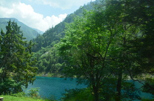 山间蓝湖旁的葱郁树林