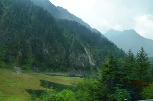 山间绿野 葱郁山林美景