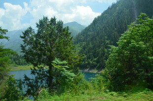 山间湖畔绿意盎然景色