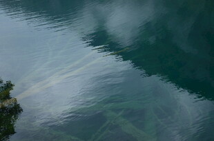 宁静湖水的自然波纹景象