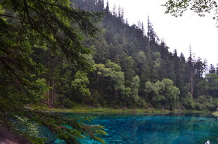 山间蓝湖 林木环绕之景
