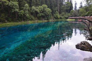 清澈蓝湖映山林美景