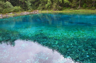 清澈蓝绿湖水与周边山林