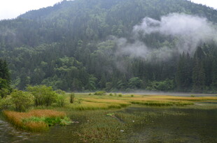 山间云雾缭绕的静谧美景
