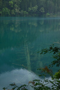 碧绿湖水与周边葱郁树林