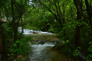 山林间流动的清澈小溪