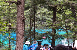 森林中观赏蓝绿色湖水