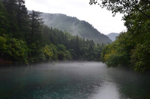 山间静谧河流 绿意环绕