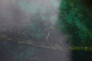 神秘绿色纹理微观景象