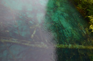 梦幻绿林瀑布景观