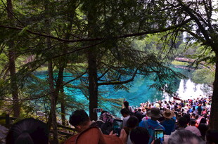 景区热门景点游客聚集