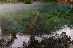 清澈湖底的神秘水下景象