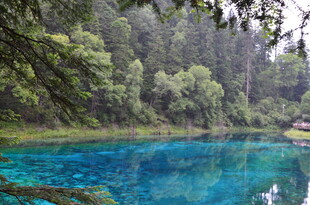 梦幻蓝湖 森林中的静谧之美