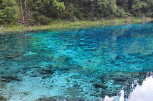 清澈蓝湖 水底景致如画