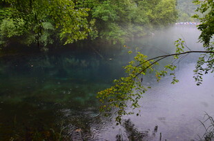 清幽河畔 绿意萦绕的静谧之景